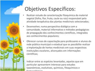 Objetivos Específicos:
• Realizar estudo de caracterização fitoquímica do material
vegetal (folha, flor, fruto, caule ou raiz) responsável pela
atividade terapêutica das plantas medicinais selecionadas;
• Desenvolver, numa perspectiva dialógica com a
comunidade, material informativo e métodos pedagógicos
de propagação dos conhecimentos científicos, integrados
aos conhecimentos populares;
• Oferecer cursos de capacitação para professores e alunos da
rede pública municipal e estadual que os possibilite realizar
a implantação de hortos medicinais em suas respectivas
instituições escolares, alicerçados em informações
científicas;
• Indicar entre as espécies levantadas, aquelas que em
particular apresentem interesse para estudos
taxonômicos, evolutivos, químicos, fitoquímicos e

 