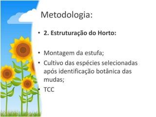 Metodologia:
• 2. Estruturação do Horto:
• Montagem da estufa;
• Cultivo das espécies selecionadas
após identificação botânica das
mudas;
• TCC

 