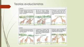 Teorias evolucionistas
 