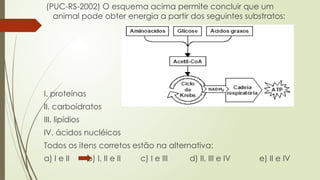 (PUC-RS-2002) O esquema acima permite concluir que um
animal pode obter energia a partir dos seguintes substratos:
I. proteínas
II. carboidratos
III. lipídios
IV. ácidos nucléicos
Todos os itens corretos estão na alternativa:
a) I e II b) I, II e II c) I e III d) II, III e IV e) II e IV
 