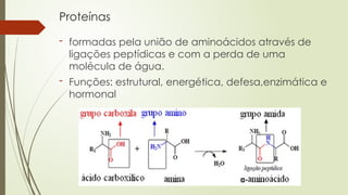 Proteínas
- formadas pela união de aminoácidos através de
ligações peptídicas e com a perda de uma
molécula de água.
- Funções: estrutural, energética, defesa,enzimática e
hormonal
 