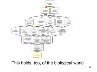 This holds, too, of the biological world
                                           28
 