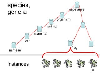 species,
                                     substance
genera
                              organism

                         animal

                mammal

          cat

                                         frog
siamese



instances
                                                 44
 