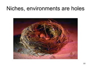 Niches, environments are holes




                             61
 