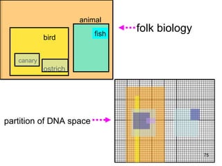 animal
                           Universe/Periodic Table




                          fish
                                                     folk biology
            bird


   canary
            ostrich




partition of DNA space


                                                                    75
 