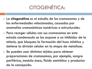 CITOGENÉTICA:
 La citogenética es el estudio de los cromosomas y de
las enfermedades relacionadas, causadas por
anomalías cromosómicas numéricas o estructurales.
 Para recoger células con sus cromosomas en este
estado condensado se las expone a un inhibidor de la
mitosis, que bloquea la formación del huso mitótico y
detiene la división celular en la etapa de metafase.
 Se pueden usar distintos tejidos para obtener
preparaciones de cromosomas; por ejemplo, sangre
periférica, medula ósea, fluido amniótico y productos
de la concepción.
 