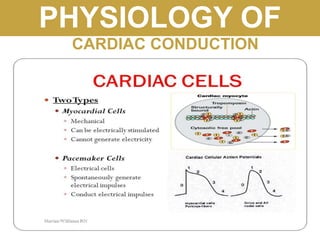 PHYSIOLOGY OF
CARDIAC CONDUCTION
 