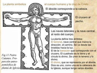 El crucero al
pecho.
La planta simboliza el cuerpo humano y la cruz de Cristo
Las naves laterales y la nave central,
al resto del cuerpo.
La planta define tres ámbitos:
El terrenal, nave central que marca la
dirección, el camino. Se va desde las
tinieblas hacia la luz.
El de la transición que corresponde con el
crucero. El cuadrado es la tierra y el
círculo lo divino. Se unen lo terreno y lo
divino.
El divino, que se representa por el ábside.
Dios es uno, como una es la cabecera de
la Iglesia, aunque tenga varios ábsides.
El ábside corresponde a la cabeza.
 