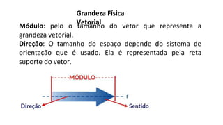 Módulo: pelo o tamanho do vetor que representa a
grandeza vetorial.
Direção: O tamanho do espaço depende do sistema de
orientação que é usado. Ela é representada pela reta
suporte do vetor.
Grandeza Física
Vetorial
 