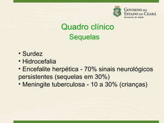 Quadro clínico
                  Sequelas

• Surdez
• Hidrocefalia
• Encefalite herpética - 70% sinais neurológicos
persistentes (sequelas em 30%)
• Meningite tuberculosa - 10 a 30% (crianças)
 