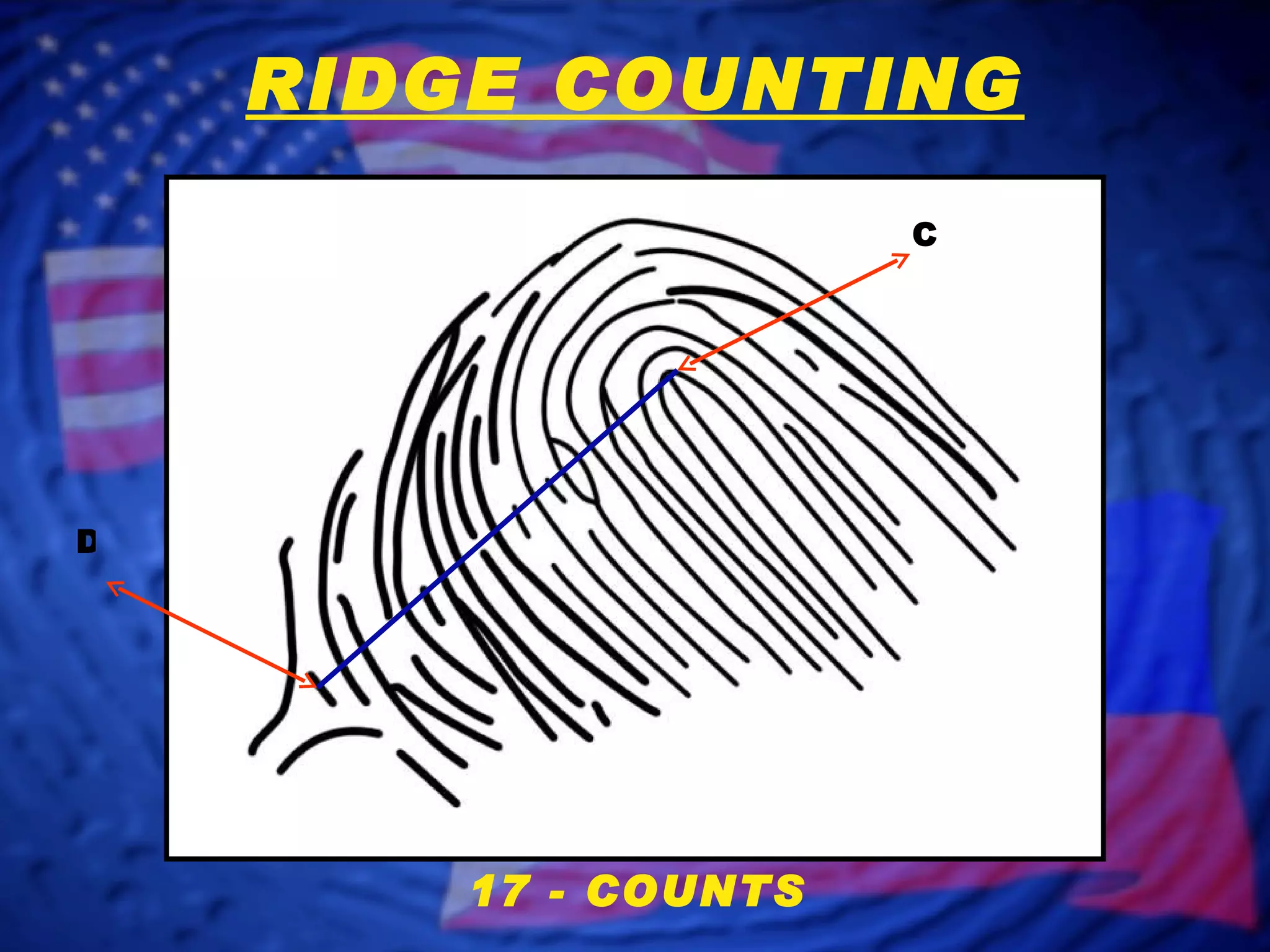 Fingerprint Classification Example Fingerprint Classification- slide 1 | PPT