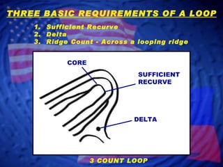 1.  Sufficient Recurve 2.  Delta 3.  Ridge Count - Across a looping ridge THREE BASIC REQUIREMENTS OF A LOOP 3 COUNT LOOP CORE SUFFICIENT RECURVE DELTA 