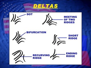 DOT BIFURCATION MEETING OF TWO RIDGES SHORT RIDGE RECURVING RIDGE ENDING RIDGE DELTAS 
