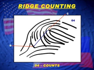 04 - COUNTS C D 04 RIDGE COUNTING 