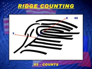 C D 02 RIDGE COUNTING 02 - COUNTS 
