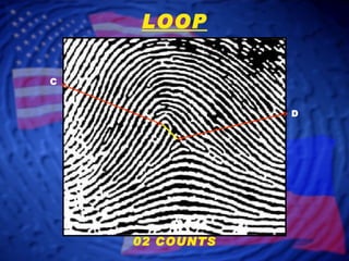 D C LOOP 02 COUNTS 