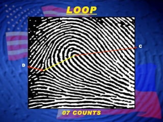 C D LOOP 07 COUNTS 