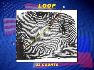 C D LOOP 23 COUNTS 