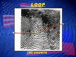 D C LOOP 02 COUNTS 