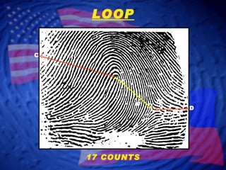 D C LOOP 17 COUNTS 