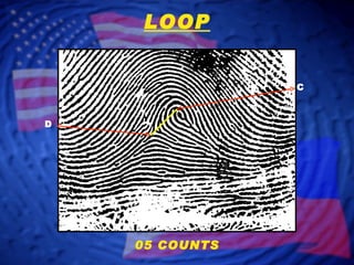 D C LOOP 05 COUNTS 