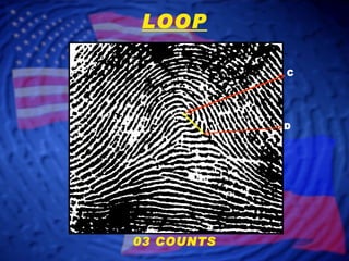 D C LOOP 03 COUNTS 