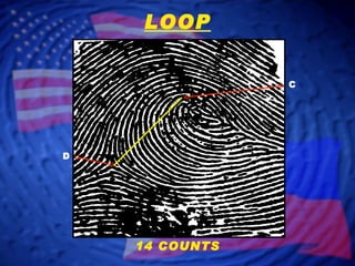 D C LOOP 14 COUNTS 
