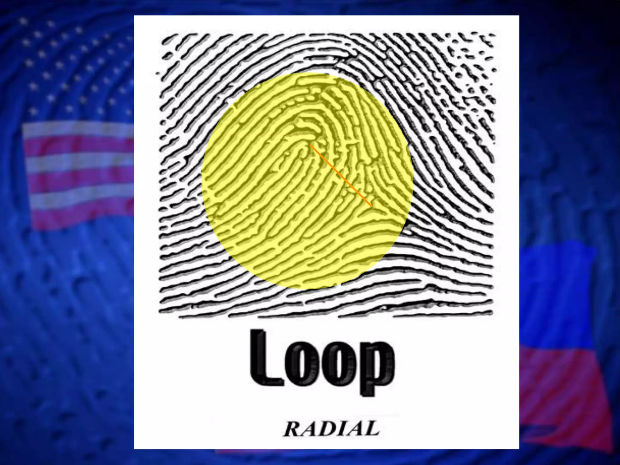Fingerprint Classification- Loop Patterns | PPTX