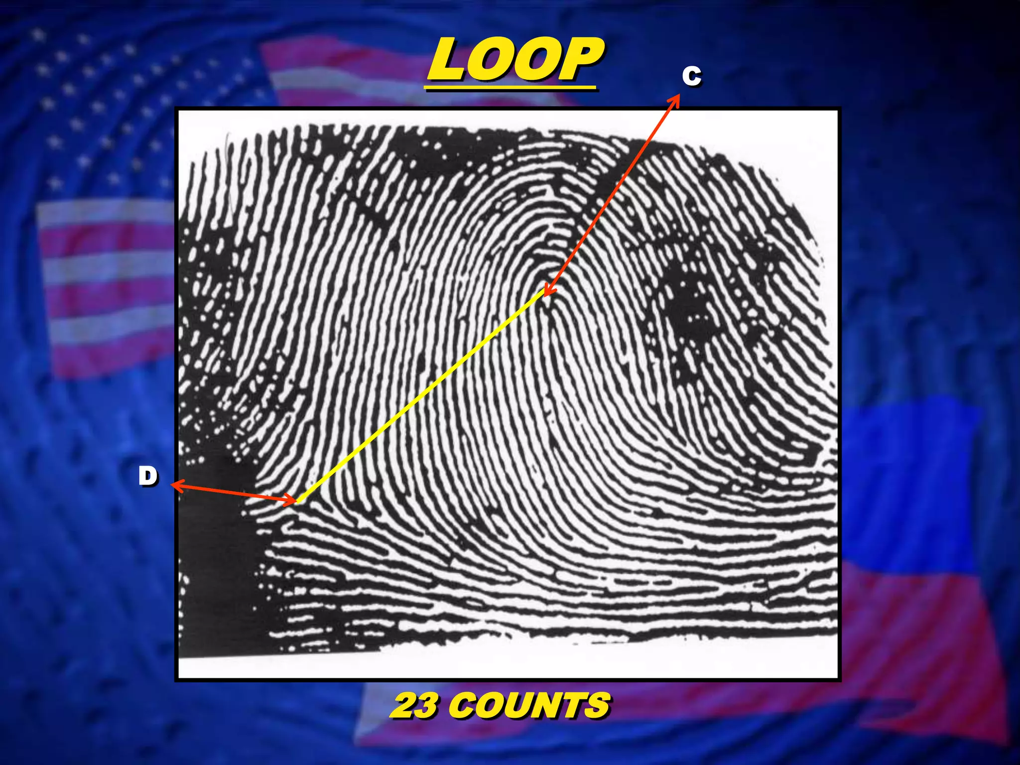 Fingerprint Classification- Loop Patterns | PPT