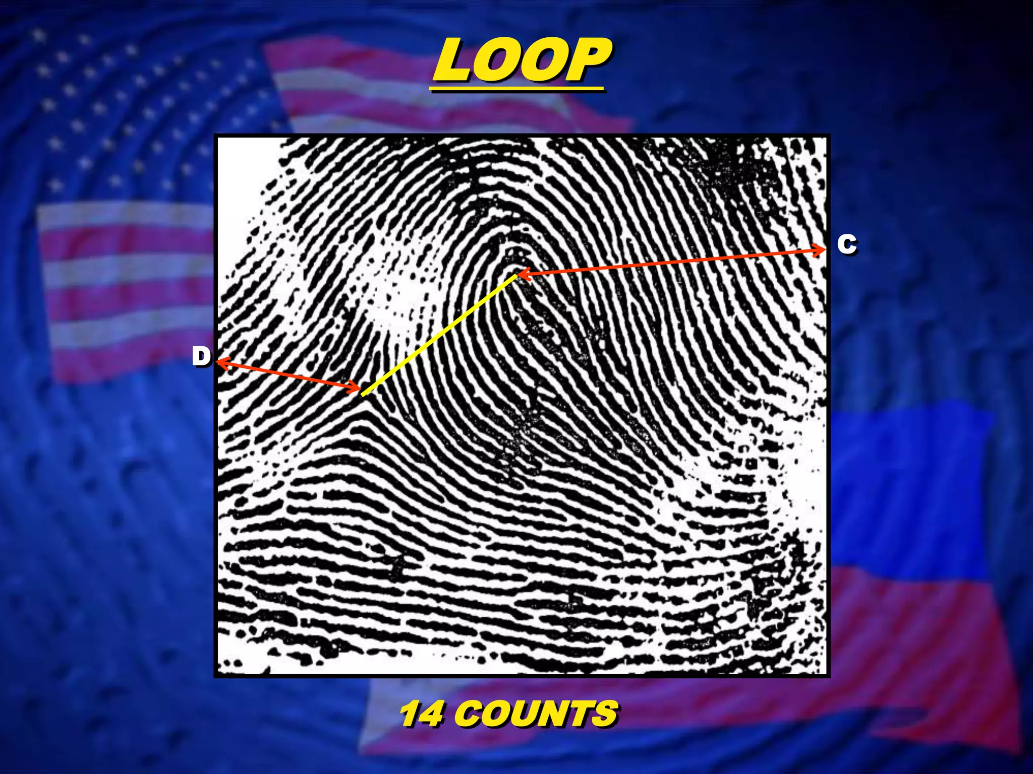 Fingerprint Classification- Loop Patterns | PPT