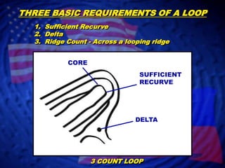 THREE BASIC REQUIREMENTS OF A LOOP1.  Sufficient Recurve2.  Delta3.  Ridge Count - Across a looping ridgeCORESUFFICIENTRECURVEDELTA3 COUNT LOOP