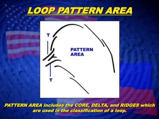 LOOP PATTERN AREATPATTERNAREATPATTERN AREA includes the CORE, DELTA, and RIDGES which are used in the classification of a loop.