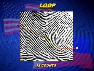 LOOPCD12 COUNTS