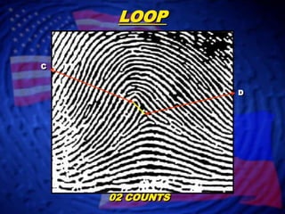 LOOPCD02 COUNTS