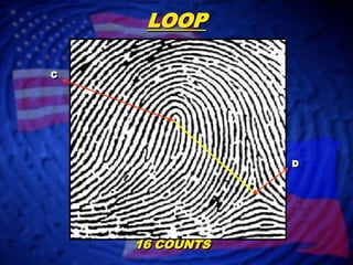 LOOPCD16 COUNTS