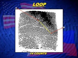 LOOPCD14 COUNTS