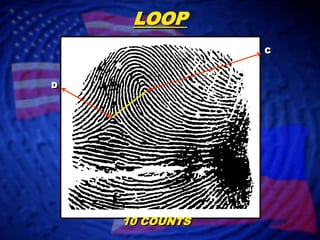 LOOPCD10 COUNTS