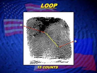 LOOPCD15 COUNTS