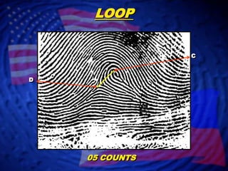 LOOPCD05 COUNTS