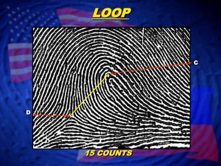 LOOPCD15 COUNTS