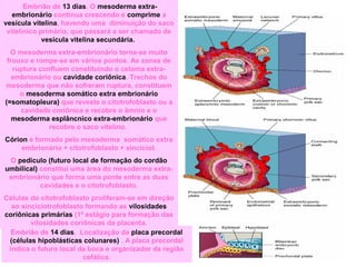 Embrião de 13 dias. O mesoderma extra-
embrionário continua crescendo e comprime a
vesícula vitelina, havendo uma diminuição do saco
vitelínico primário, que passará a ser chamado de
vesícula vitelina secundária.
O mesoderma extra-embrionário torna-se muito
frouxo e rompe-se em vários pontos. As zonas de
ruptura confluem constituindo o celoma extra-
embrionário ou cavidade coriônica. Trechos do
mesoderma que não sofreram ruptura, constituem
o mesoderma somático extra embrionário
(=somatopleura) que reveste o citotrofoblasto ou a
cavidade coriônica e recobre o âmnio e o
mesoderma esplâncnico extra-embrionário que
recobre o saco vitelino.
Córion é formado pelo mesoderma somático extra
embrionário + citotrofoblasto + sinciciot.
O pedículo (futuro local de formação do cordão
umbilical) constitui uma área do mesoderma extra-
embrionário que forma uma ponte entre as duas
cavidades e o citotrofoblasto.
Células do citotrofoblasto proliferam-se em direção
ao sinciciotrofoblasto formando as vilosidades
coriônicas primárias (1º estágio para formação das
vilosidades coriônicas da placenta.
Embrião de 14 dias. Localização da placa precordal
(células hipoblásticas colunares) . A placa precordal
indica o futuro local da boca e organizador da região
cefálica.
 