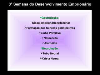 3ª Semana do Desenvolvimento Embrionário
GastrulaçãoGastrulação:
 Disco embrionário trilaminar
Formação dos folhetos germinativos
Linha Primitiva
Notocorda
Alantóide
NeurulaçãoNeurulação:
Tubo Neural
Crista Neural
 