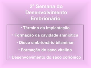 2ª Semana do
Desenvolvimento
Embrionário
• Término da Implantação
• Formação da cavidade amniótica
• Disco embrionário bilaminar
• Formação do saco vitelino
• Desenvolvimento do saco coriônico
 