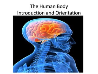 The Human Body
Introduction and Orientation
 