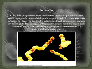IntroduçãoÉ Uma  infecção que começa com celulite grave  ou extensa que se alastra para comprometer  as faces  superficial e profunda, produzindo  Trombose  dos  vasos  subcutâneos  e gangrena  dos  tecidos  subjacentes. Uma lesão cutânea geralmente  serve como porta de entrada para  infecções, mas  às vezes nenhuma lesão é  assim facilmente  encontrada . Abaixo temos a imagem da bactéria que causa tal enfermidade o estreptococos: 