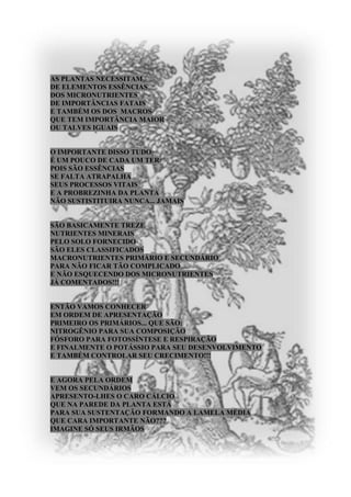 Nutrição Mineral das Plantas em Cordel