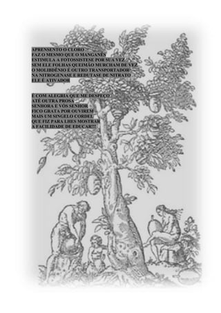 Nutrição Mineral das Plantas em Cordel