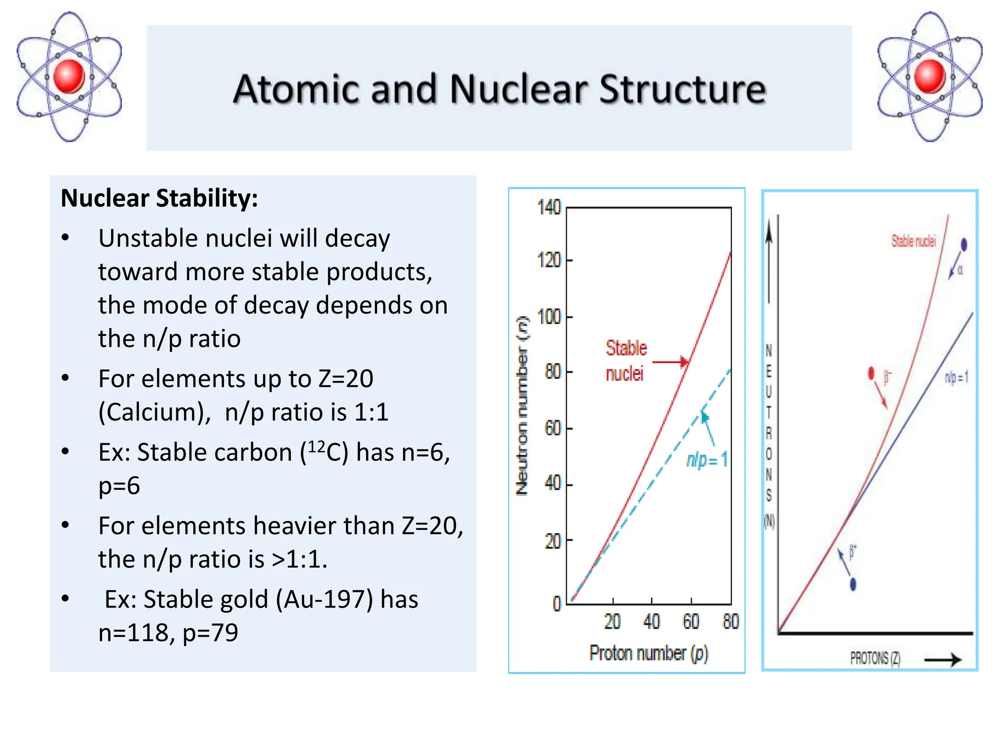 Nuclear Stability:
• Unstable nuclei will decay
toward more stable products,
the mode of decay depends on
the n/p ratio
• For elements up to Z=20
(Calcium), n/p ratio is 1:1
• Ex: Stable carbon (12C) has n=6,
p=6
• For elements heavier than Z=20,
the n/p ratio is >1:1.
• Ex: Stable gold (Au-197) has
n=118, p=79
 