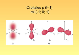 Orbitales p (l=1)
  ml (-1; 0; 1)
 
