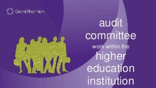 audit
committee
work within the
higher
education
institution
 